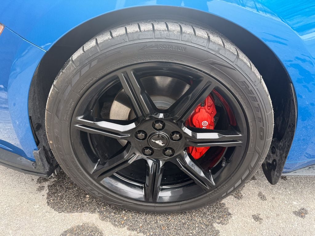 2019 Ford Mustang GT Premium