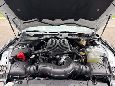 2026 Ford Mustang Shelby GT-350