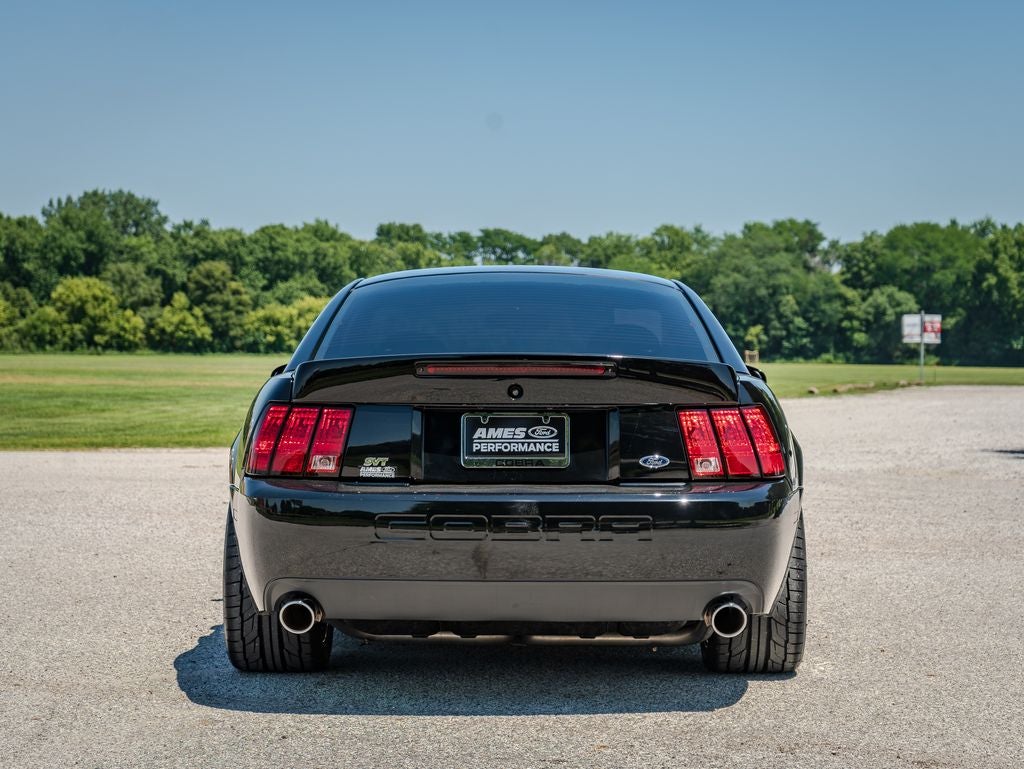 2003 Ford Mustang Terminator Cobra
