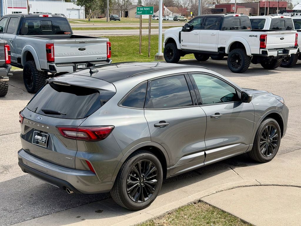 2025 Ford Escape Hybrid ST-Line Elite