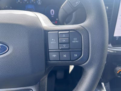 2026 Ford F-150 STX LOBO