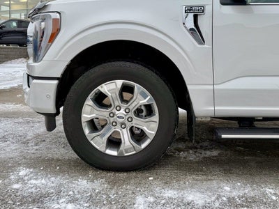 2023 Ford F-150 Platinum