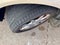 2008 Buick Lucerne CXL